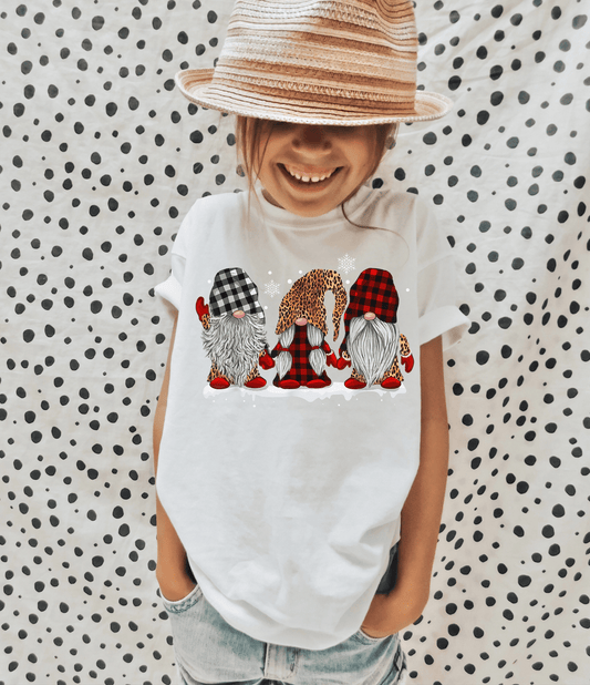 Gnomes Leopard Red buffalo plaid snowflakes Christmas size KIDS 7x6 DTF TRANSFERPRINT TO ORDER - Do it yourself Transfers